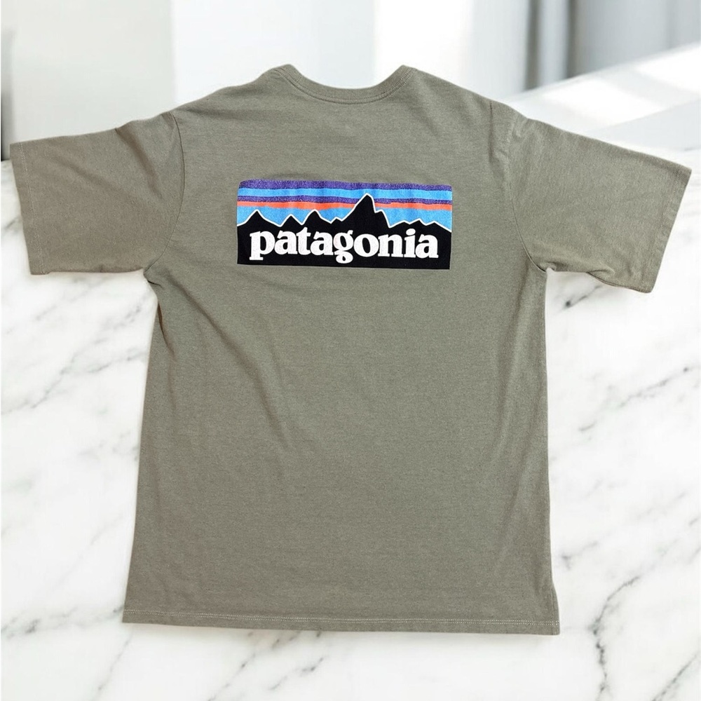 Patagonia Men's Khaki Tee with Mountain Graphic